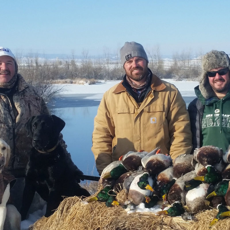 South Dakota Duck Hunting Guides & Guided Duck Hunts in SD High